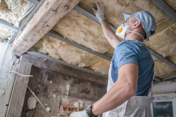 Best Insulation Installation Services in North Auburn, CA
