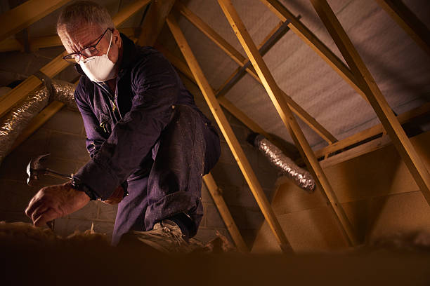 Best Types of Insulation in North Auburn, CA